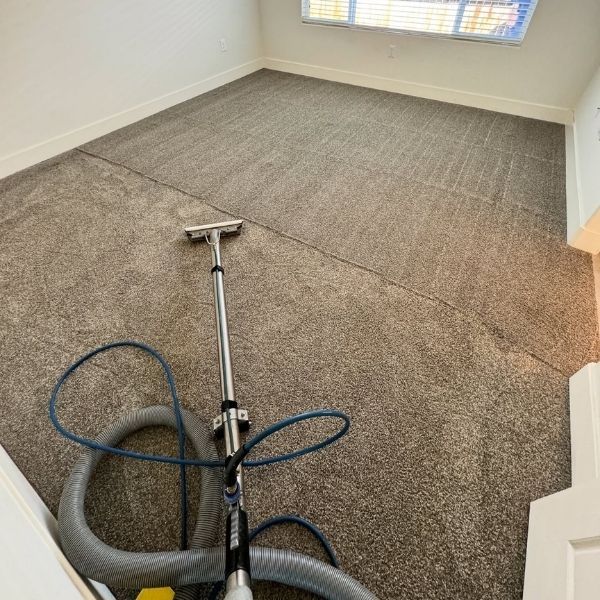 Affordable Carpet Cleaning