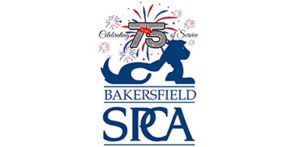 Foster Children Safe Haven Logo