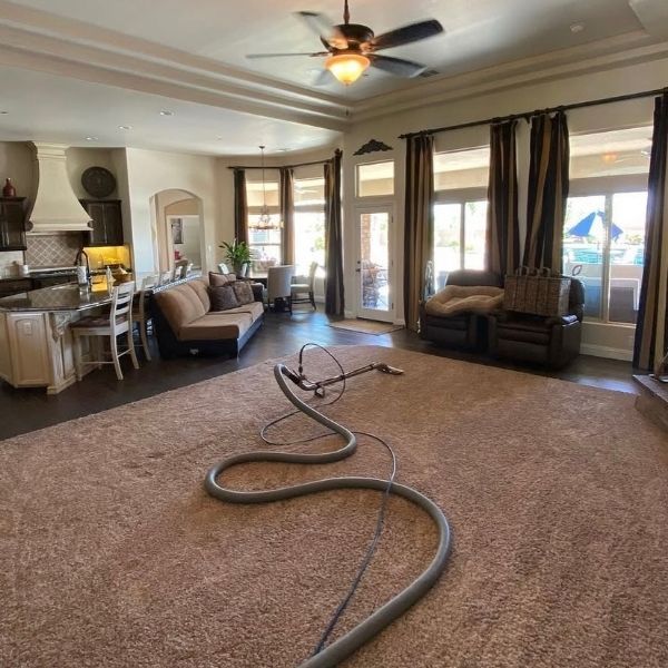 Affordable Pet Stain Odor removal