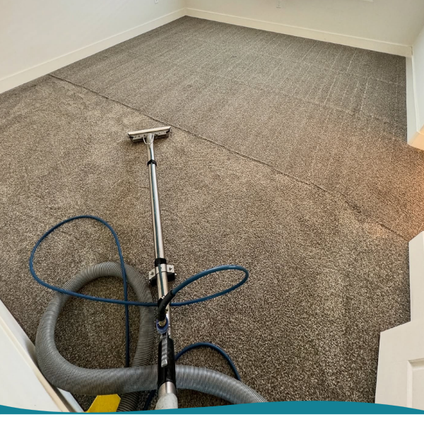 Carpet Cleaning Services