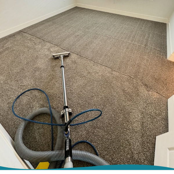 Carpet Cleaning Services